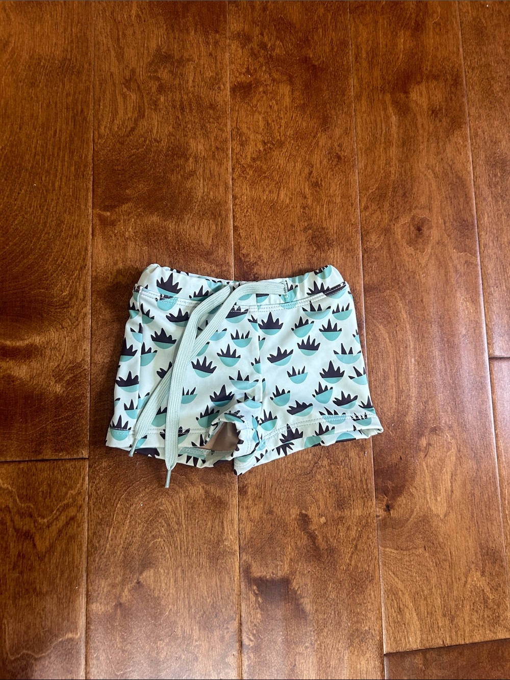 Kortni Jeane swim euro shorts